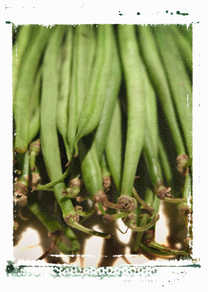 Green Beans Clipart